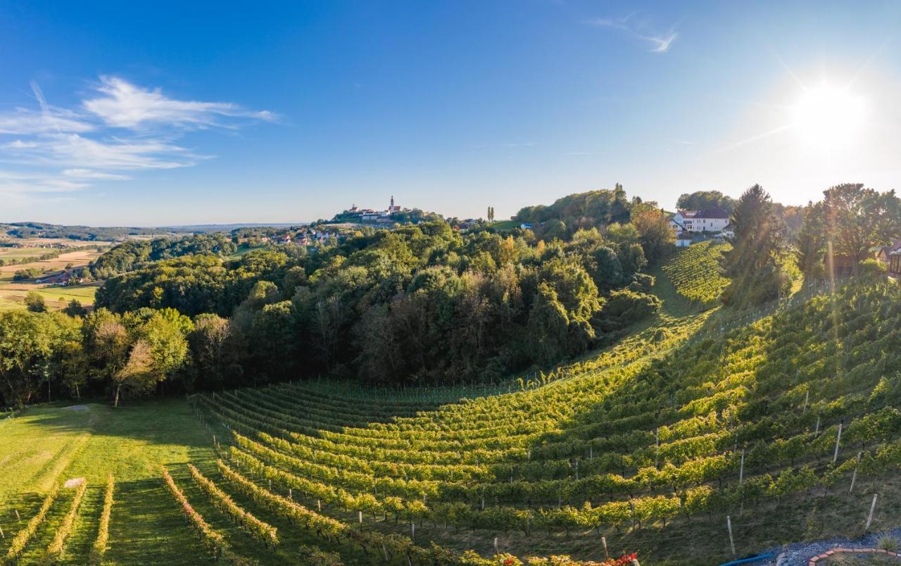 Monschein Weingut Straden Bed & Breakfast Exterior photo