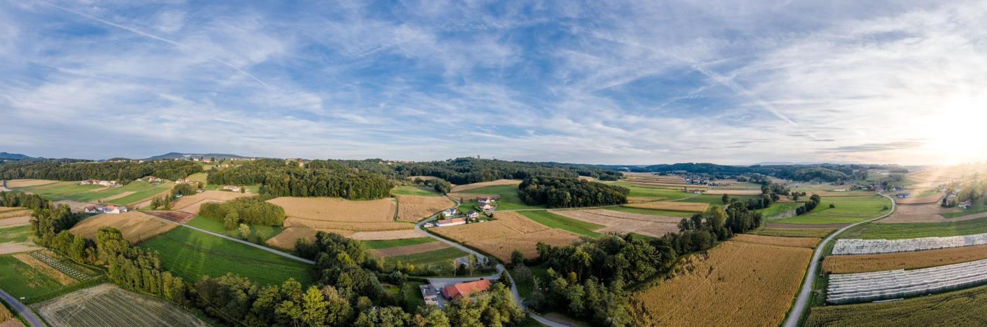 Monschein Weingut Straden Bed & Breakfast Exterior photo